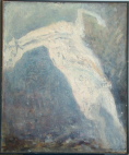 Wounded horse