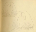 Drawing III from sketchbook